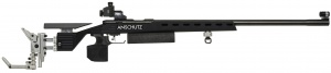1913 Target Rifle in Precise Stock