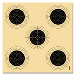 Air rifle 10m with 5 bull’s eyes