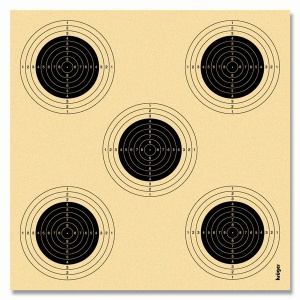 Air rifle 10m with 5 bulls eyes